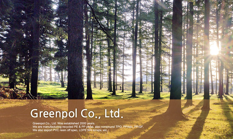 Polyvinyl Chloride (PVC) Manufacturer - GREEN POL CO LIMITED - Cepa India